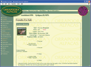 AlpacaSeller website integration