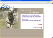 Birrong Suri Alpacas