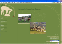 Dreamfield Alpacas