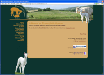 Dreamfield Alpacas
