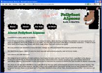 Follyfoot Alpacas