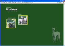 Glenhope Alpacas and Bed and Breakfast