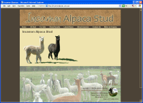 Incamon Alpaca Stud