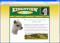 Kingsview Alpacas