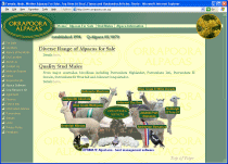 Orrapoora Alpacas