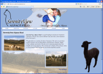 SerenityView Alpaca Stud
