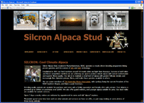 Silcron Alpaca Stud